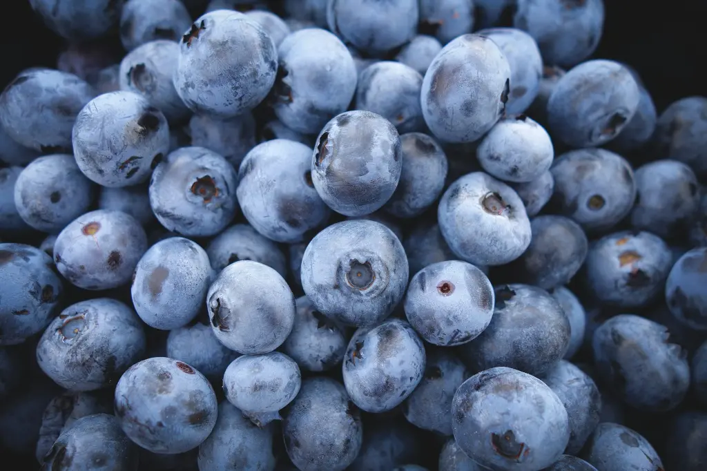 unsplash_h4zs8fbybq4_acai.webp